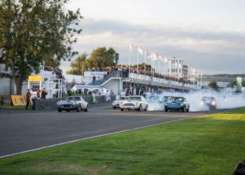 Goodwood Revival 2016 BvdW -101