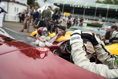 Goodwood Revival 2016 BvdW -53