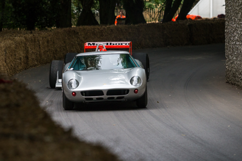 Goodwood FoS 2017 BvdW-28