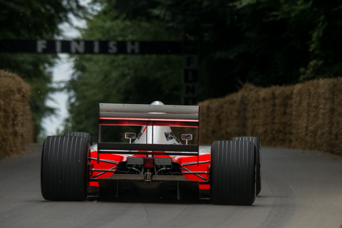 Goodwood FoS 2017 BvdW-31