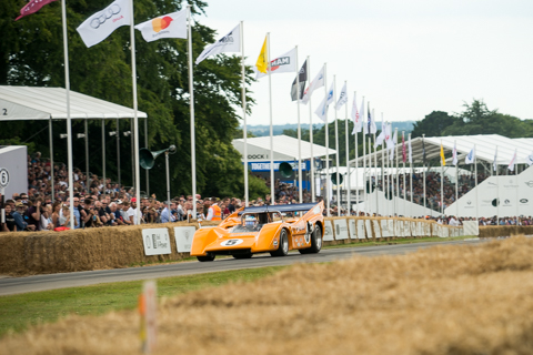 Goodwood FoS 2017 BvdW-46