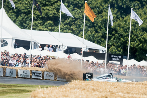 Goodwood FoS 2017 BvdW-75