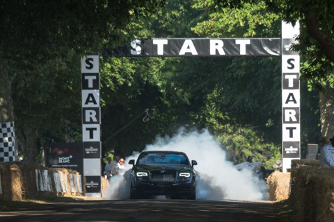 Goodwood FoS 2017 BvdW-81