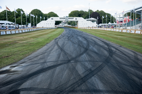 Goodwood FoS 2017 BvdW-83