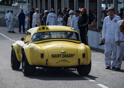 Goodwood Revival Autosport BVDW-126