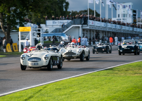 Goodwood Revival Autosport BVDW-206