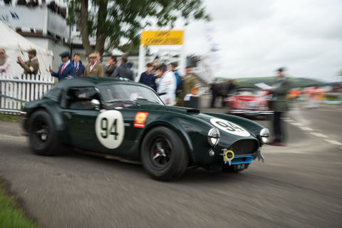 Goodwood Revival Autosport BVDW-315