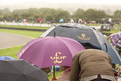 Van de regen in de drup