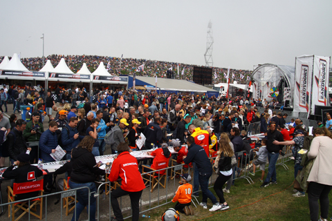 drukte-in-paddock-731
