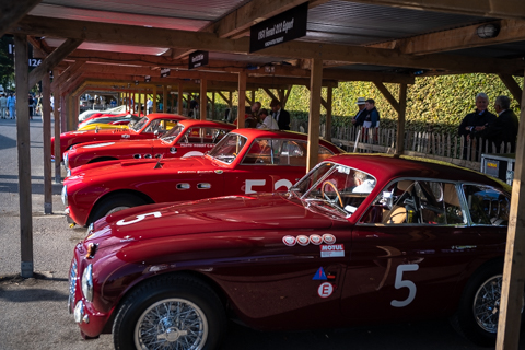 Goodwood Revival Autosport Bob-11