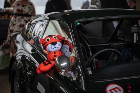 Goodwood Revival Autosport Bob-86