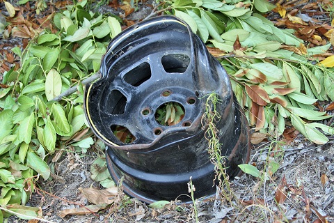 2019 Velg