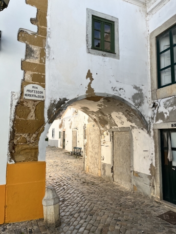 IMG 1637b