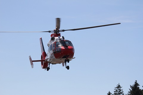 2022 Rescue