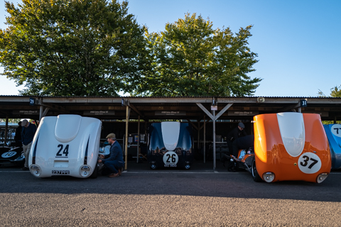 Goodwood Revival DGU 2022 BvdW-125