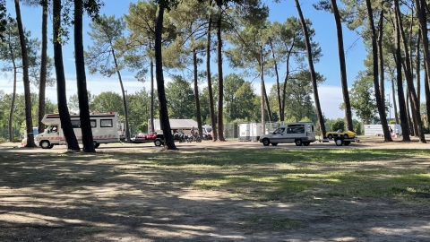 LMC 86