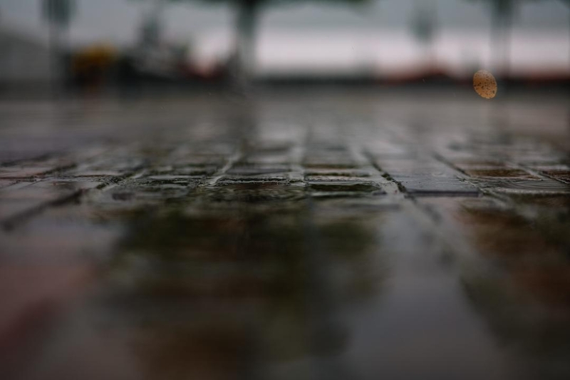 2023 Regen op de Bricks