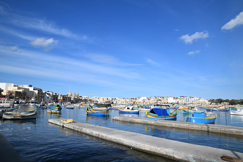 mar DSC 3523