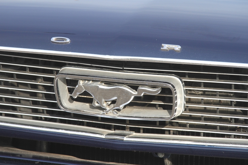 2024 Mustang Paard