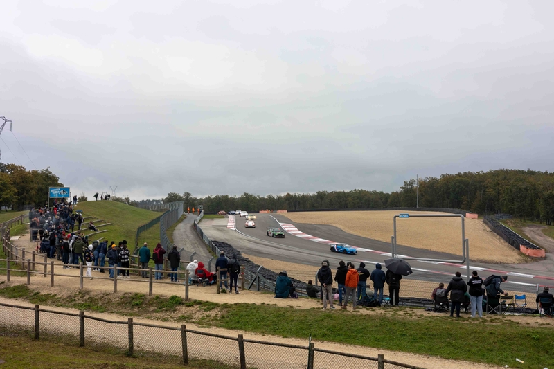 Dijon 61