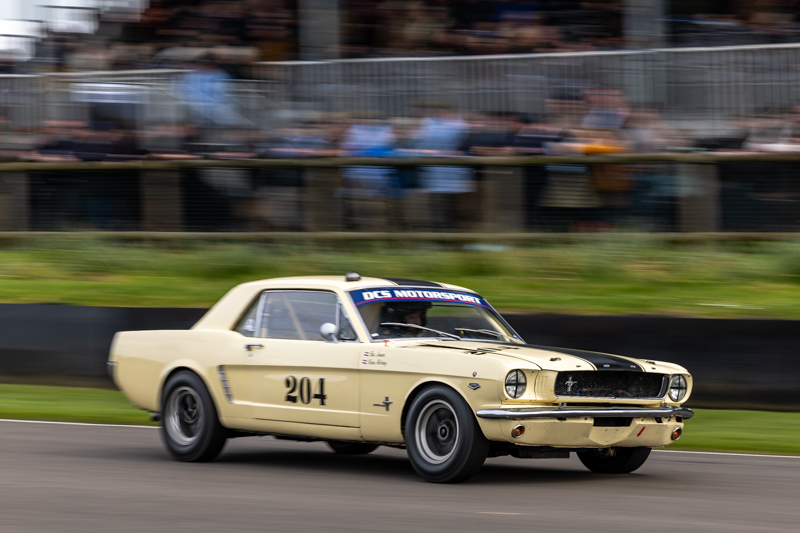 MM81 Autosport 2024 BvdW 294
