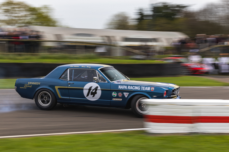MM81 Autosport 2024 BvdW 297