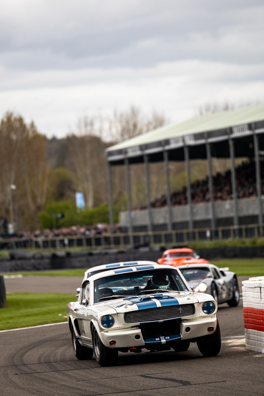 MM81 Autosport 2024 BvdW 346