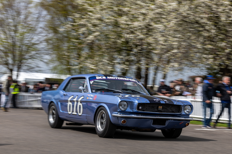 MM81 Autosport 2024 BvdW 54