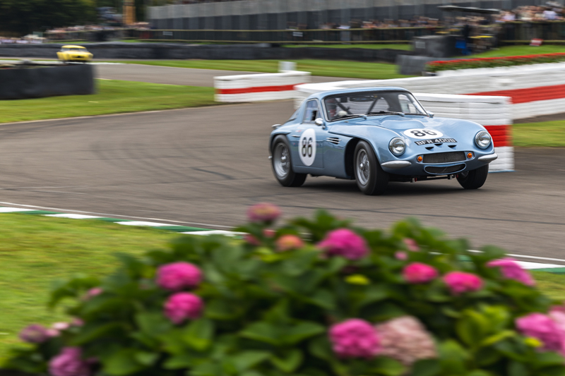 Revival Autosport 2024 BvdW 161