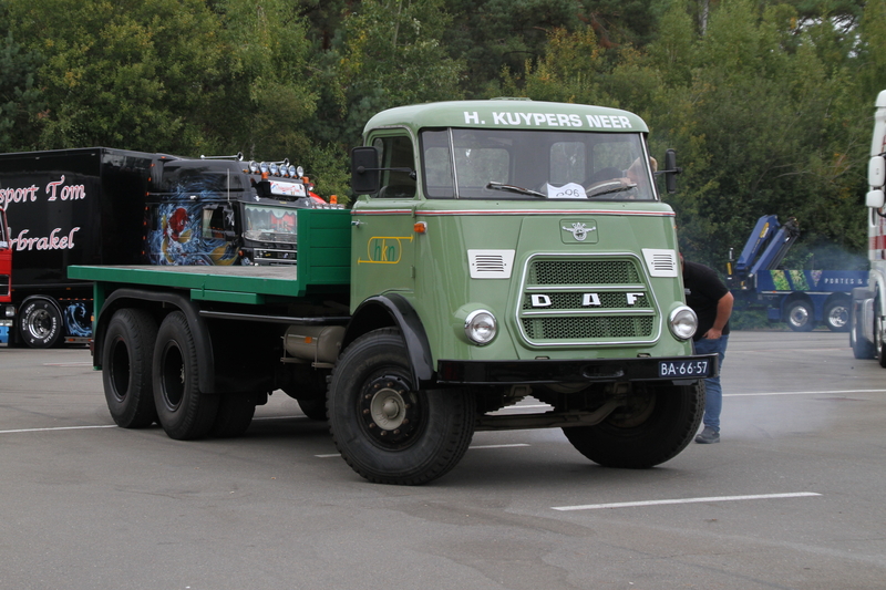 TGP 11