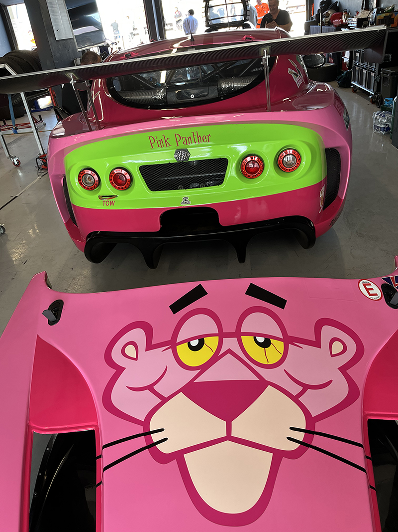 pink panther