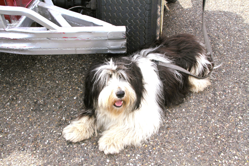 2026 Hond