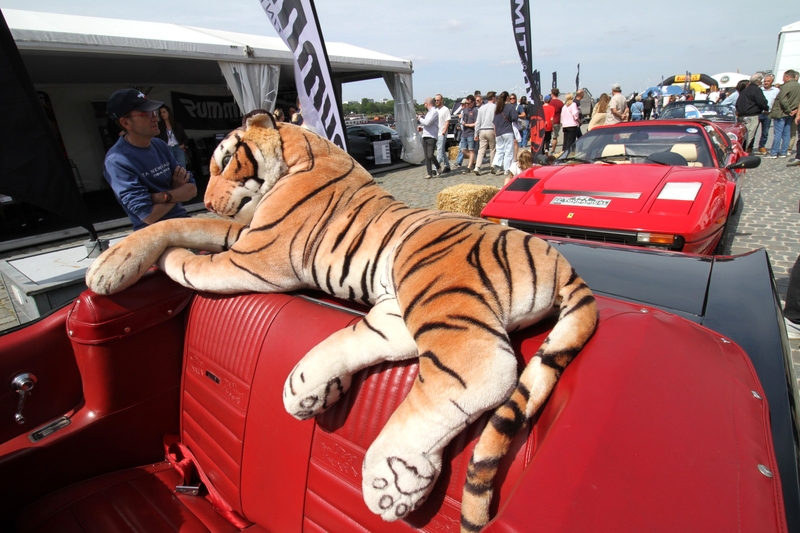 2026 Mustang tijger 2