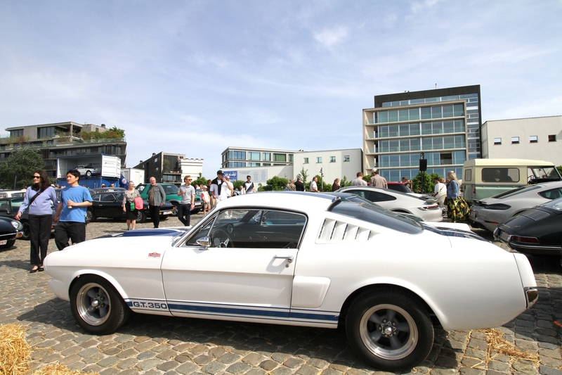 2026 Shelby Mustang 1