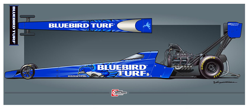 bluebird turf