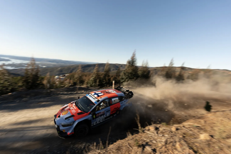 lappi