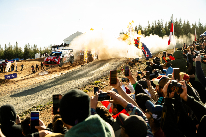 ogier
