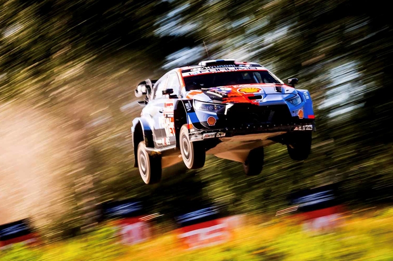 8 lappi
